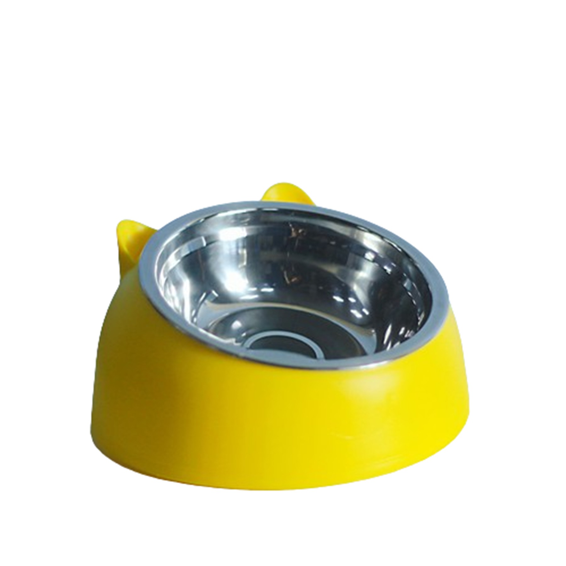 Stainless Steel Bevel Pet Bowl 6