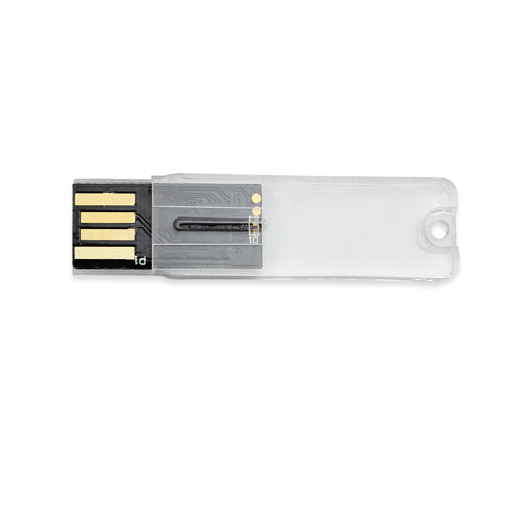 Big Rock Transparent USB Flash Drive
