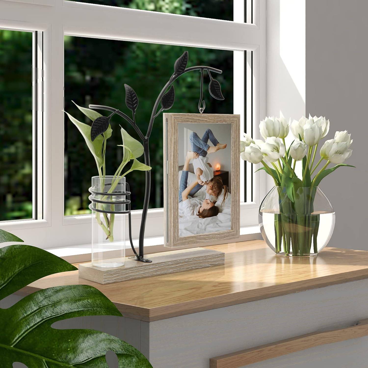 Iron Art Picture Frame Planter Holder for Home Office 14