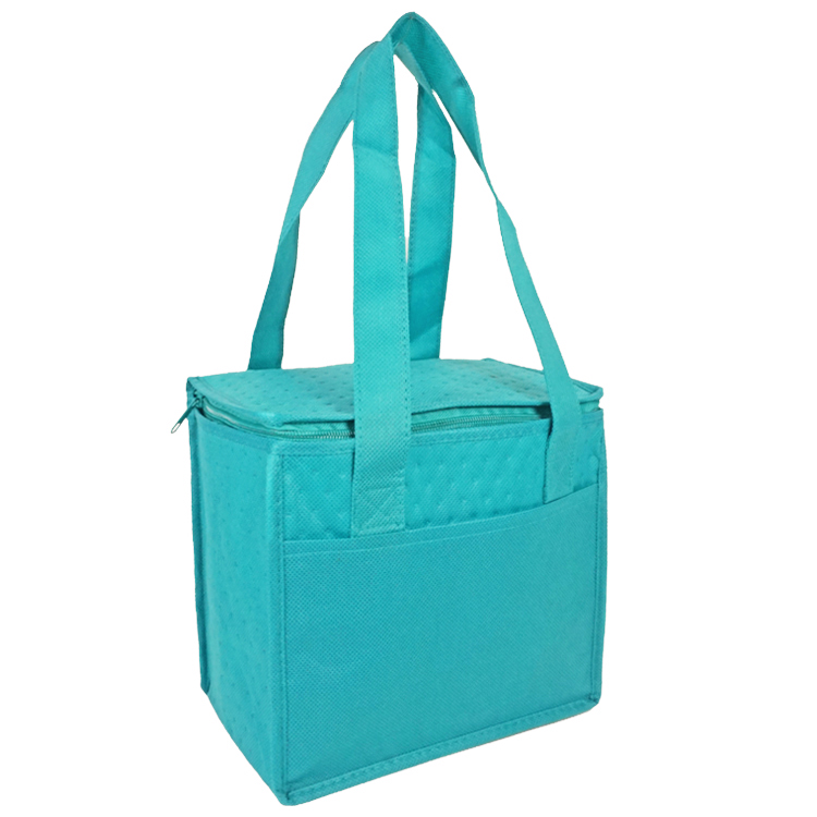 Denali Insulated Convenient Cooler 9