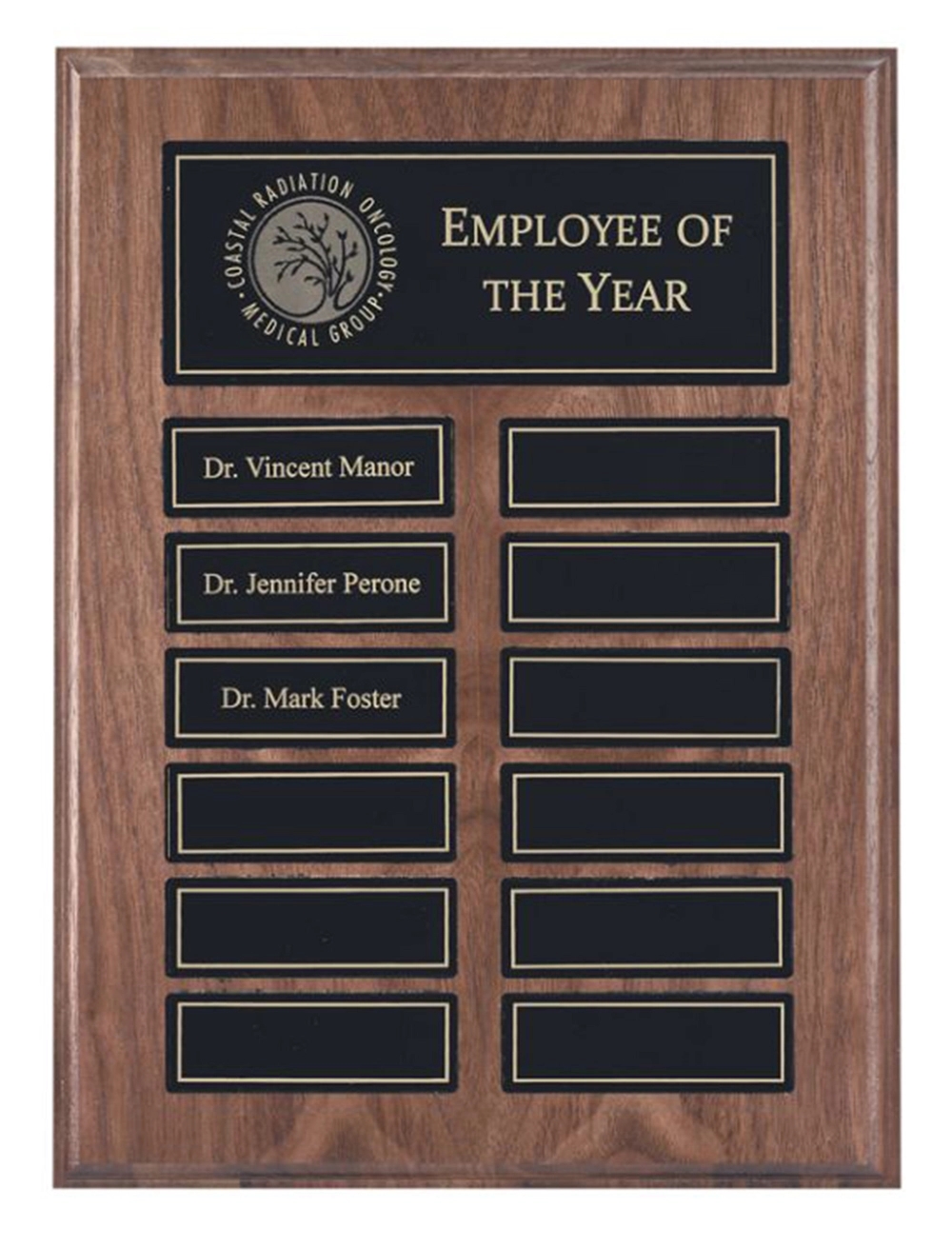 Recognition Pocket 12 Plate Perpetual Plaque (9" x 12") 6
