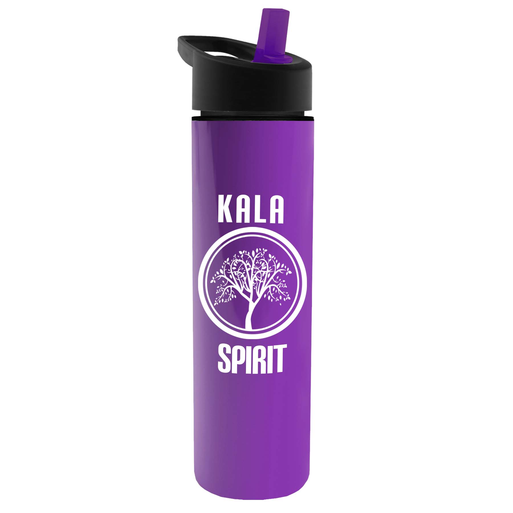 The Chiller - 16 oz. Double Wall Insulated Bottle with Flip Straw 14