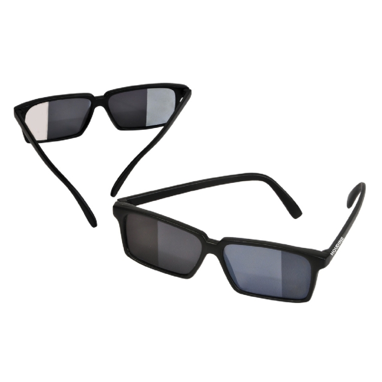 Spy Sunglasses 1