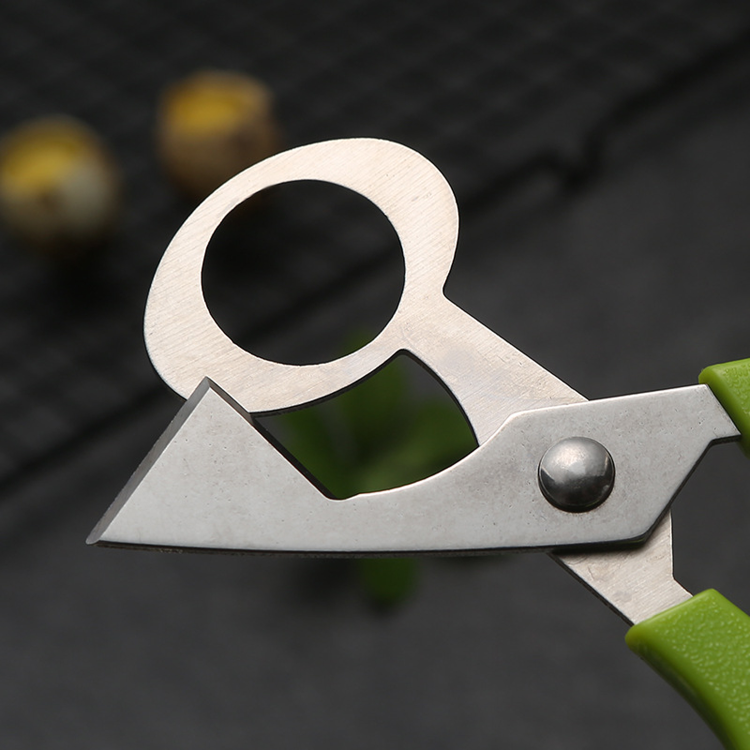 Stainless Steel Scissors for Quail Egg 6