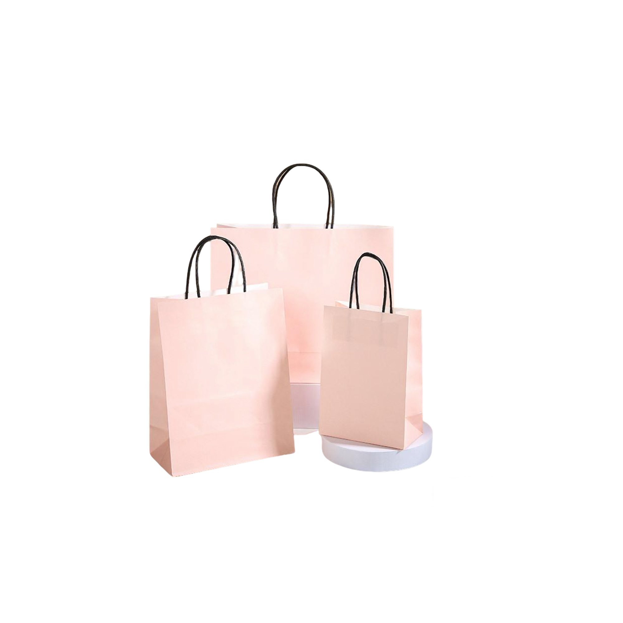Ink Absorbent Paper Shopping Bag With Twisted Handle 6 x 3.15 x 8.25" 6