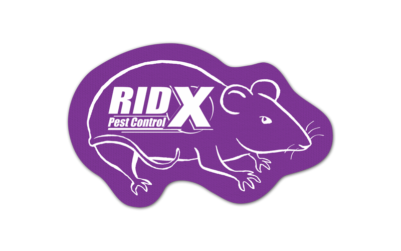 Rat/Mouse Vinyl Jar Opener 62