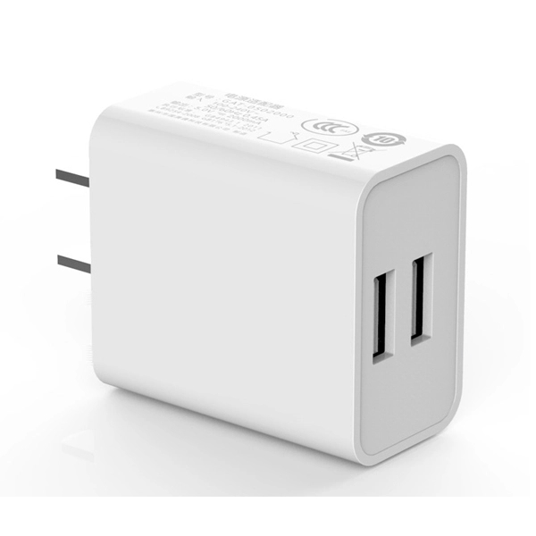 Dual Output AC Adapter 2