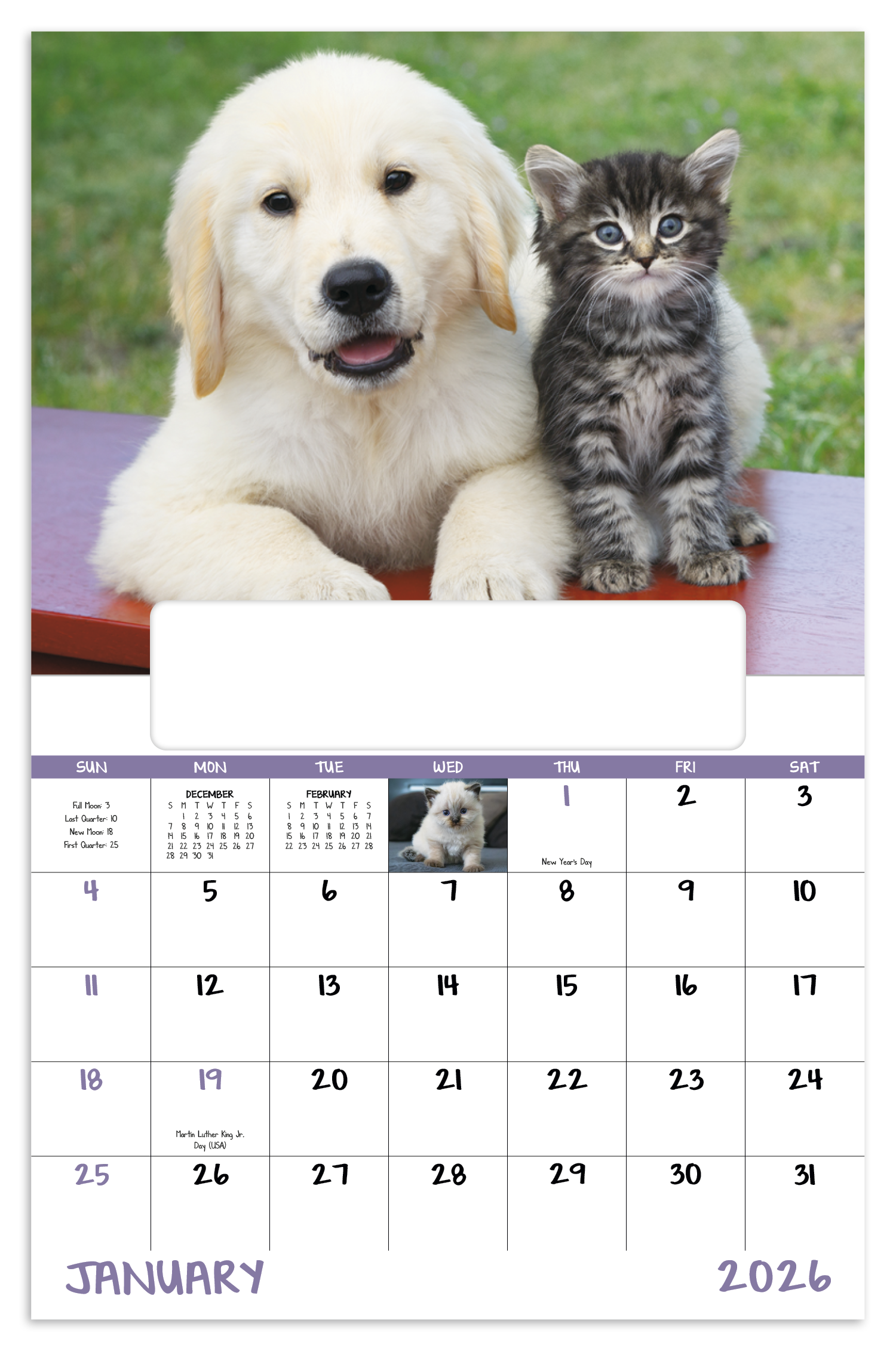 Good Value™ Puppies & Kittens - Window Calendar 21