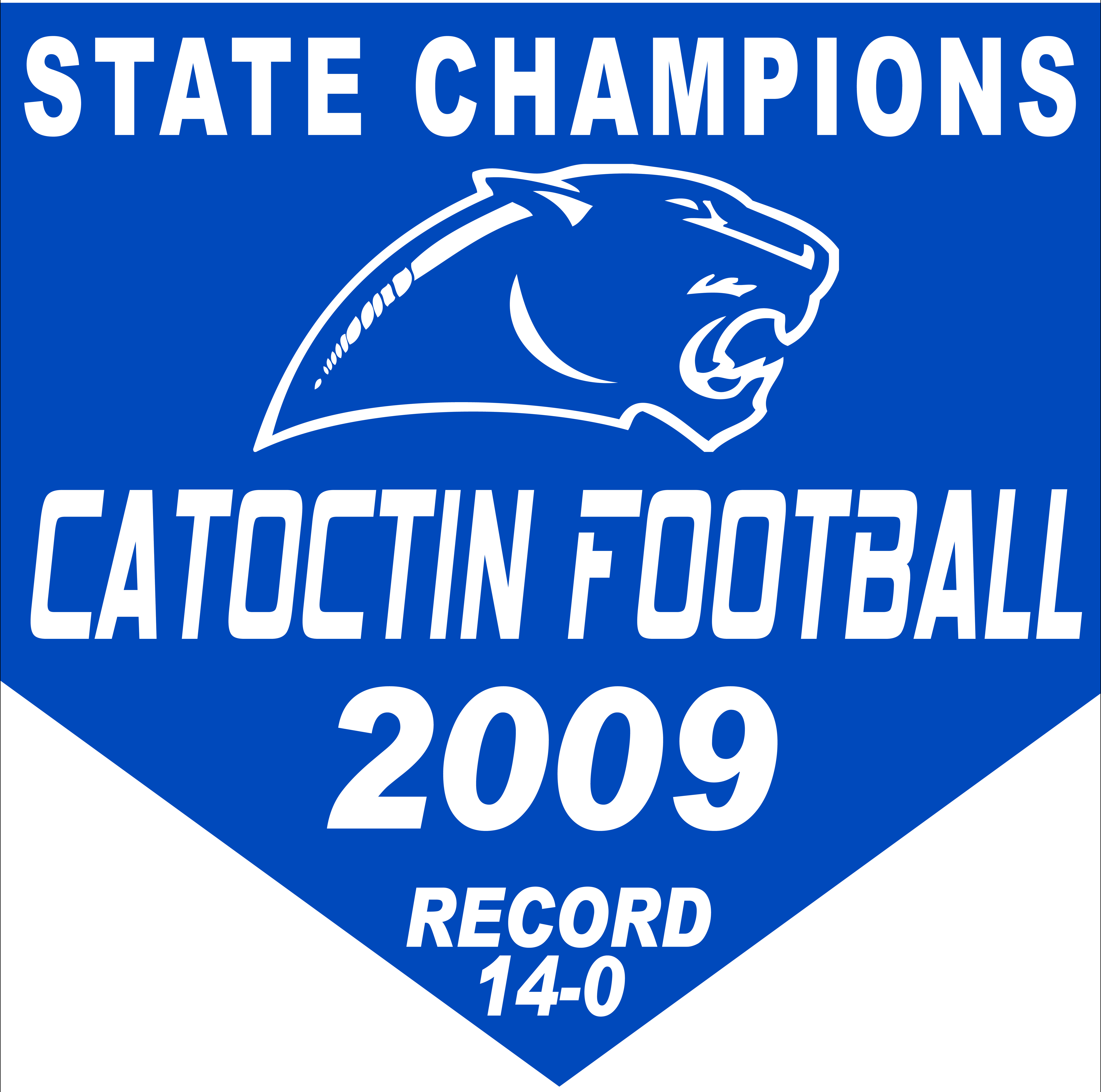 Polyester Banner 4'x6' - Fabric