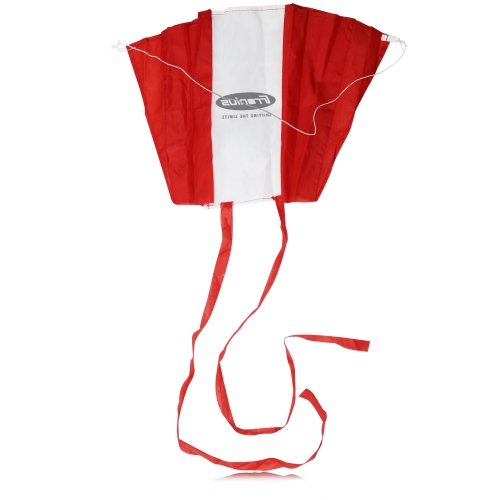 Economy Folding Eagle Kite W/ Pouch 3