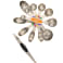 Kitchi Magnetic Measuring Spoon Set 10