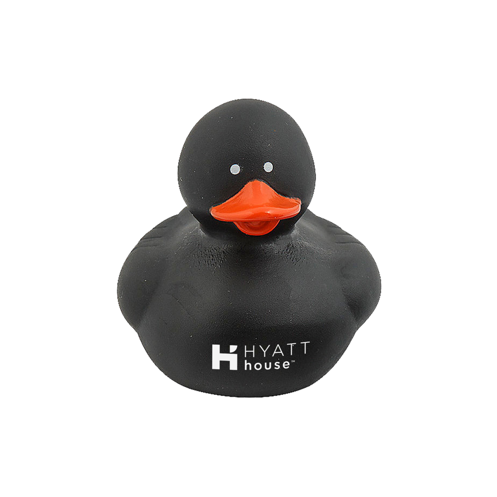 Colorful Duck 11