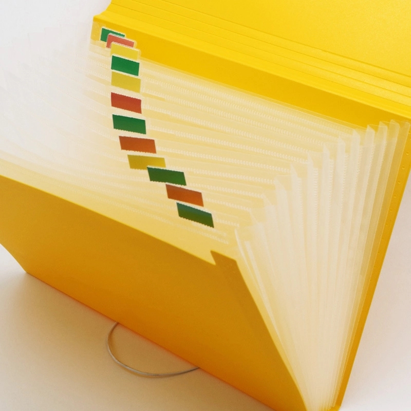 PP Plastic 13-Pocket Expanding A4-Size Portfolio File Folder 13