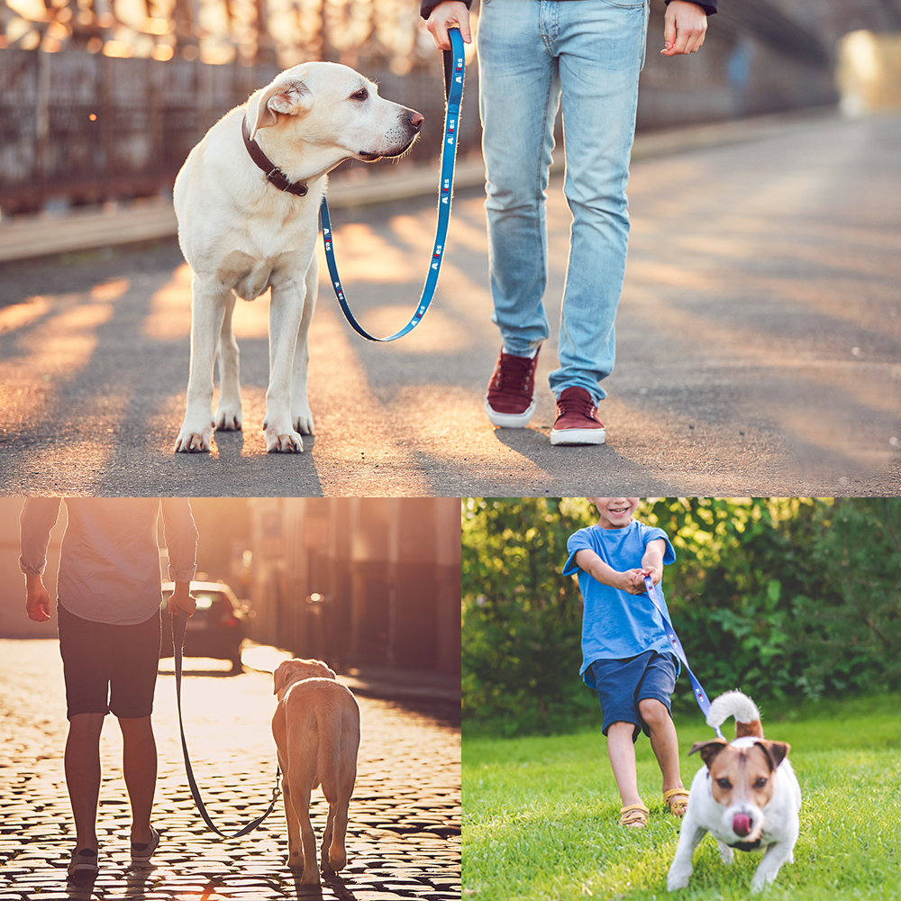 Baxter Leash with Collar Hook 12