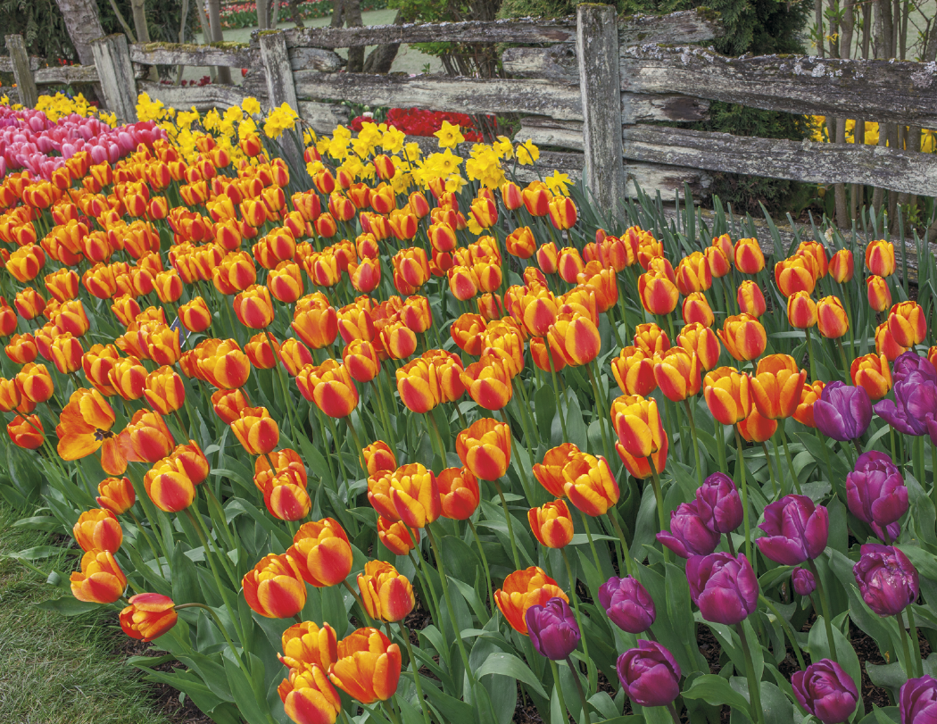 HotLine® Products Gardens Appointment Calendar - Stapled 33