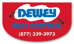 USA Made Premium UV Window Micro-Suction Cling Decal (2"x3.5")