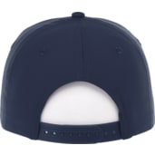 Unisex DOMINATE Ballcap 58