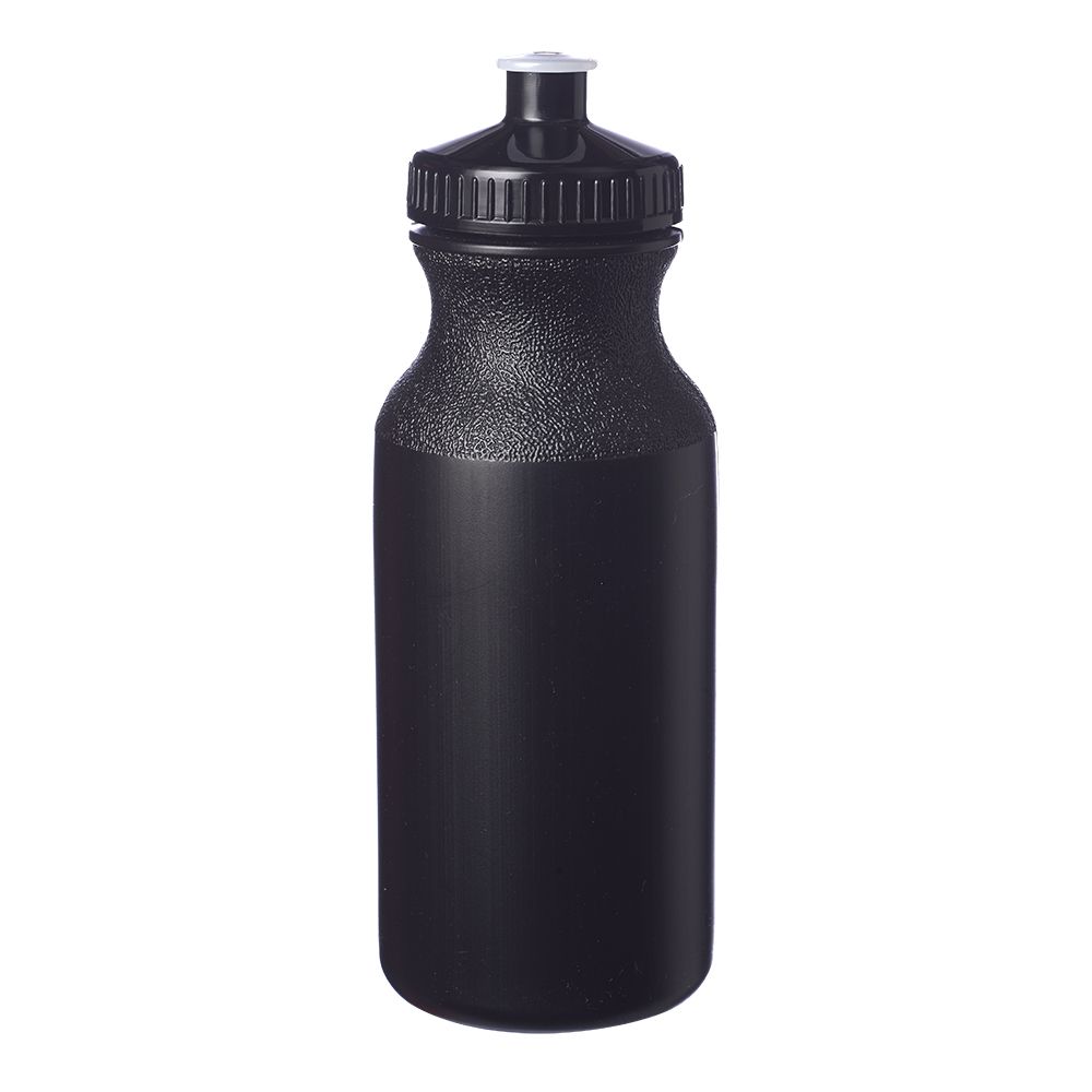 20 oz. Water Bottles with Push Cap 24