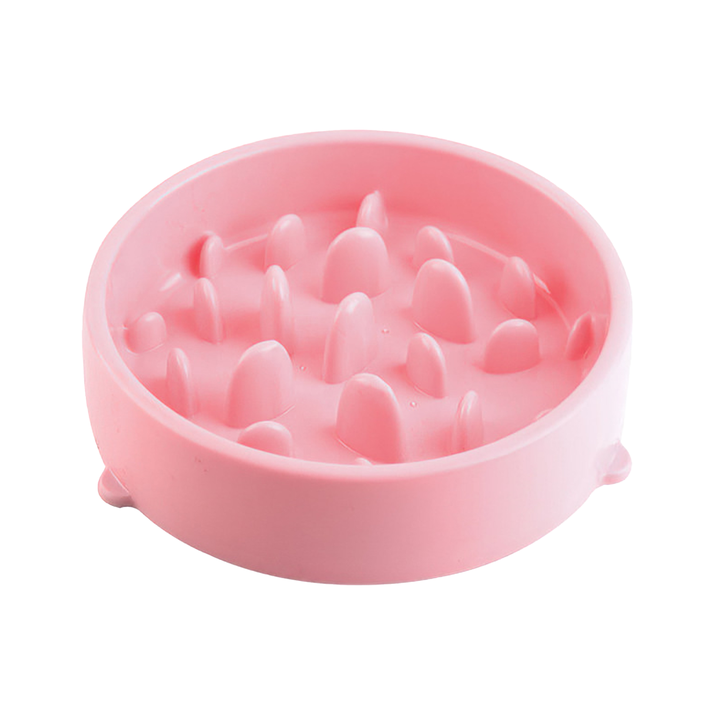 Polypropylene Thickened Practical Pet Feeder 4