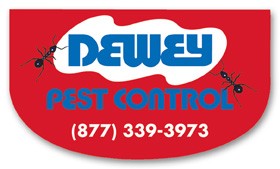 Re-Stick-It Decal (2"x3.5")