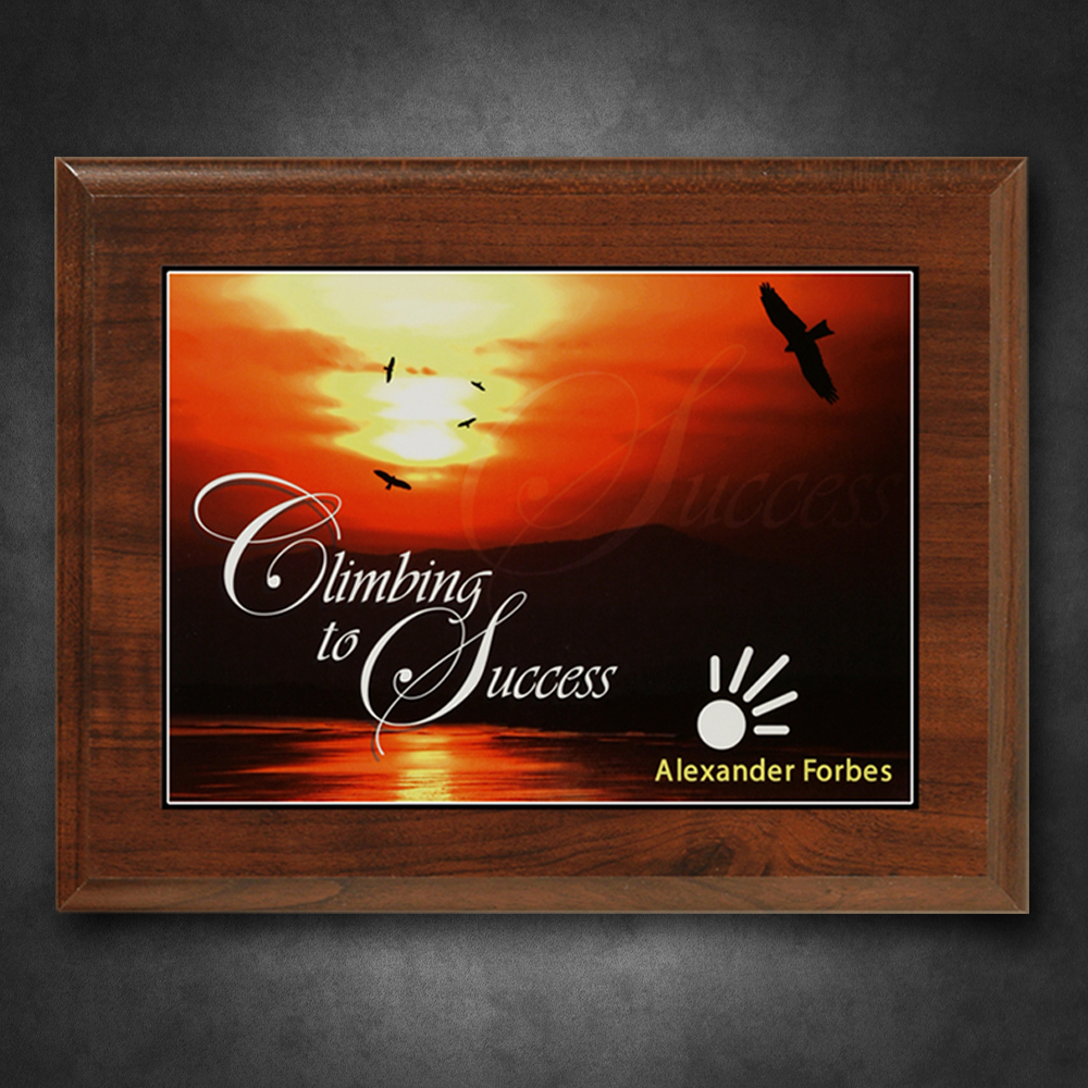 Econo Cherry Plaque with Sublimated Plate 5