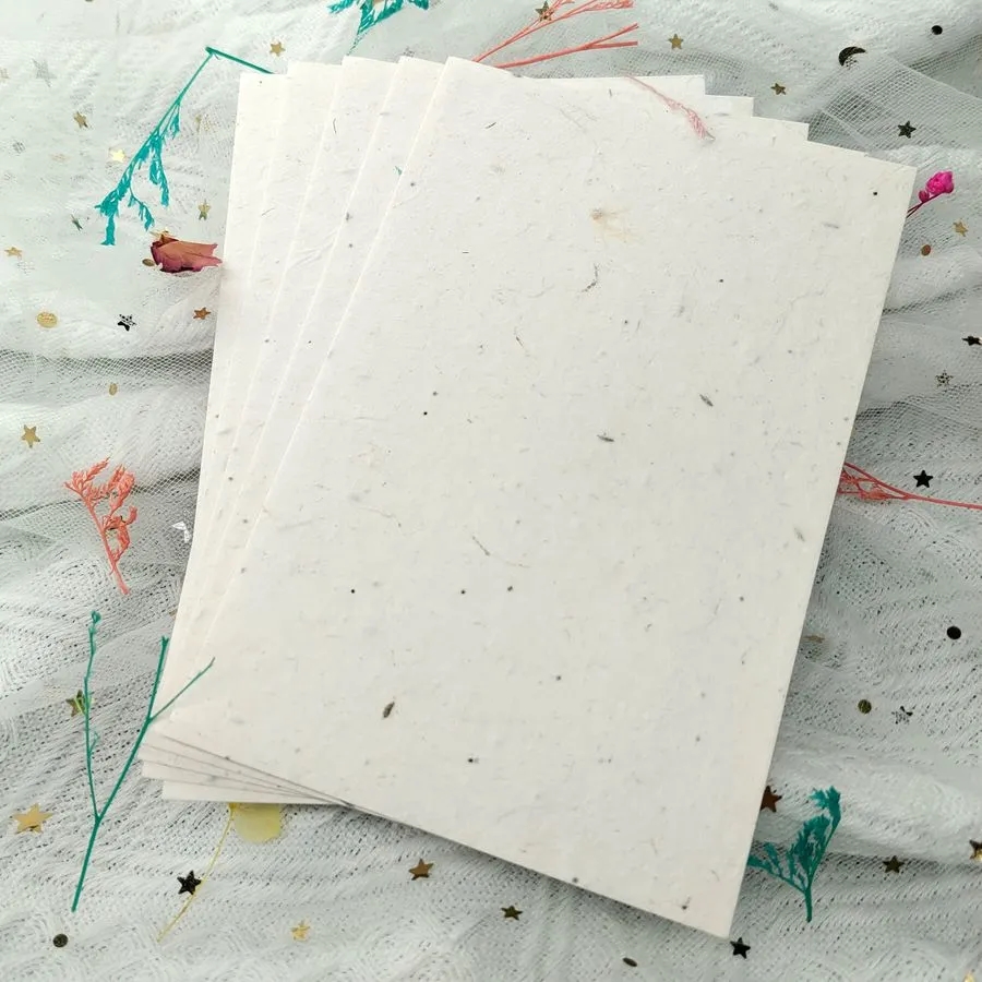 Environmentally Friendly Seed Notecards 2