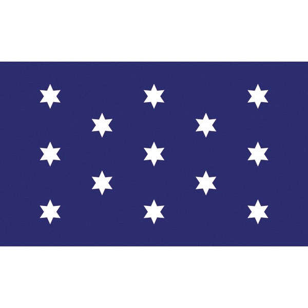 Special Historical Flags - Washington's Commander & Chief 1