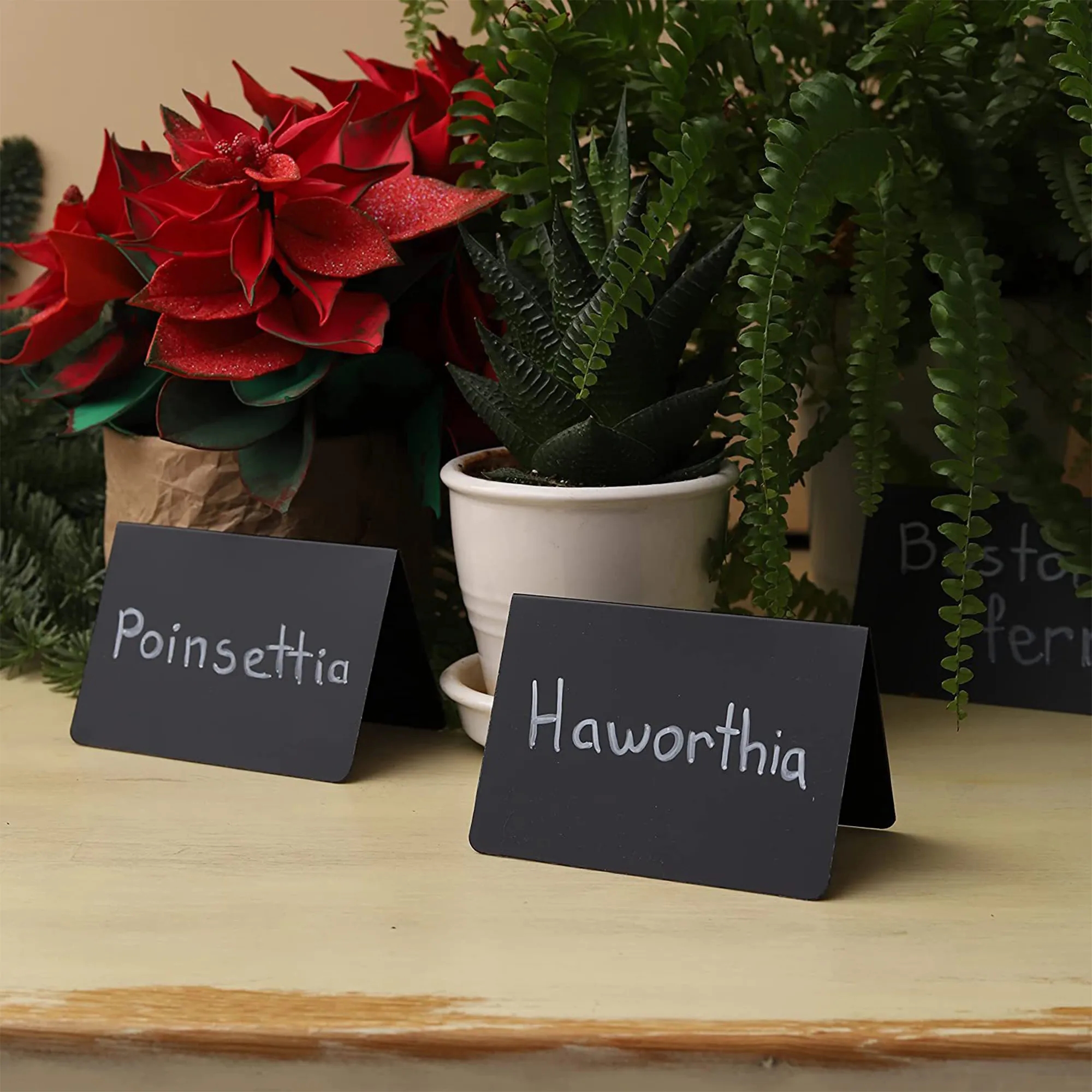 Rewritable PVC Desktop Nameplate &Price Tag 4