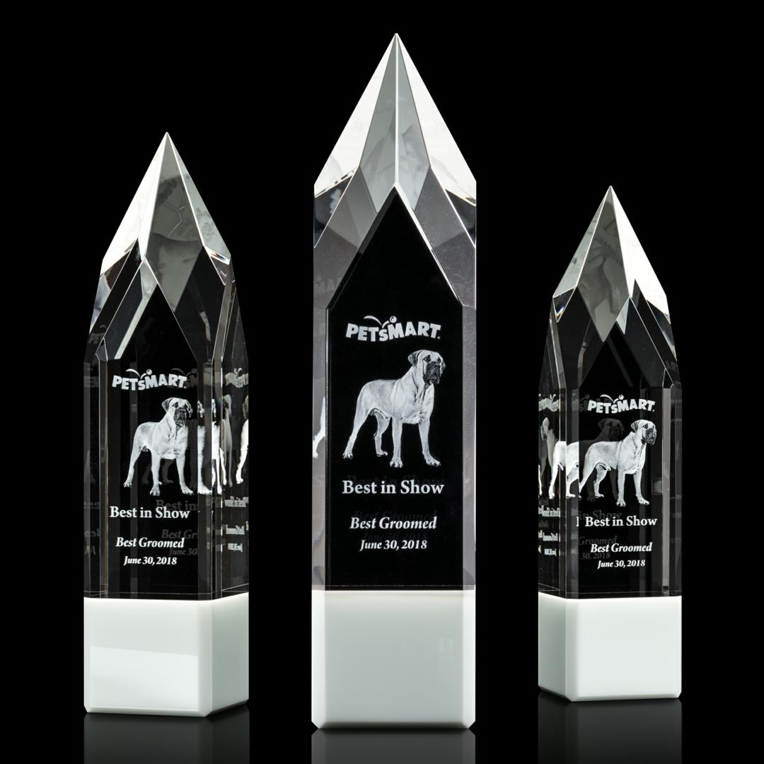 Coventry 3D Award - White 9