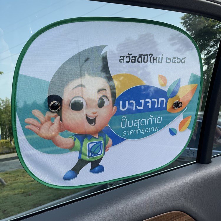 Car Side Window Visor 3