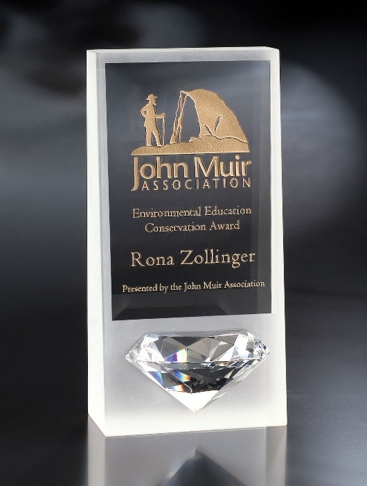 Artistic Expressions Crystal Ice Award 2
