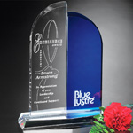 Brigadier Award 5