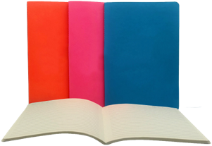 Eye Candy Single Meeting Journal 5