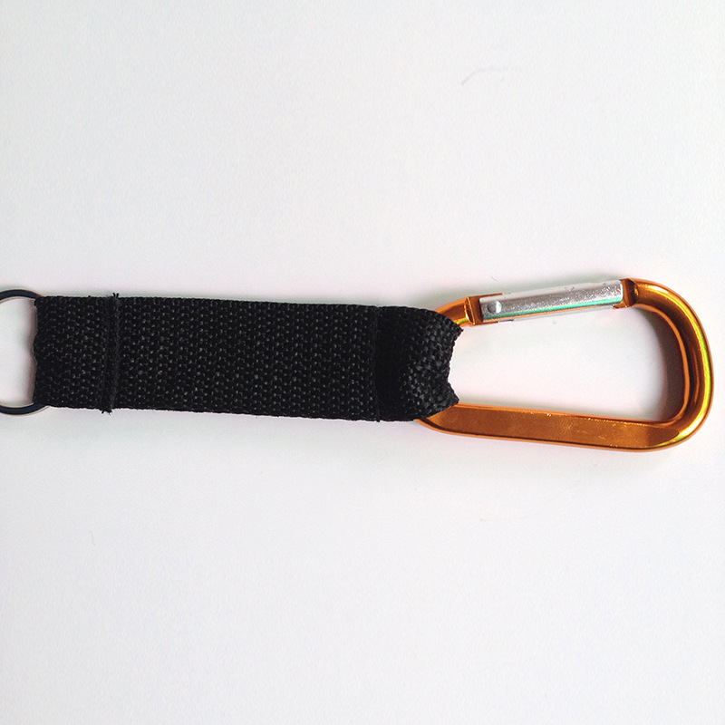 Carabiner Lanyard Keychain 2