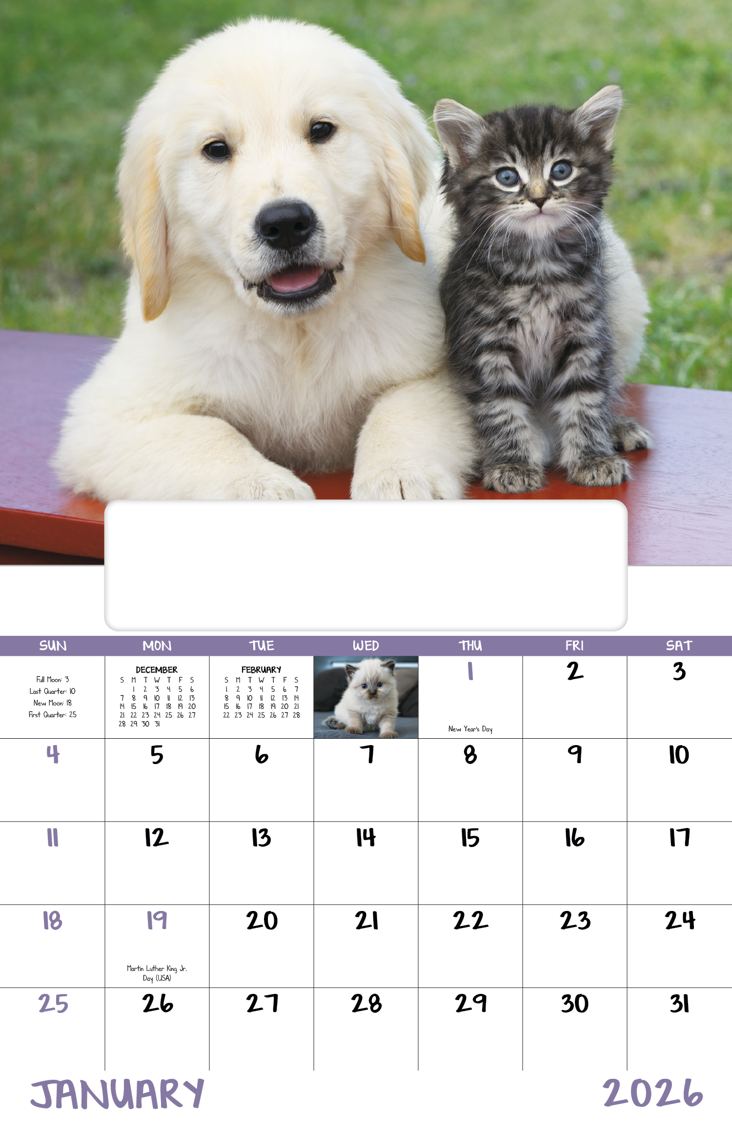 Good Value™ Puppies & Kittens - Window Calendar 33