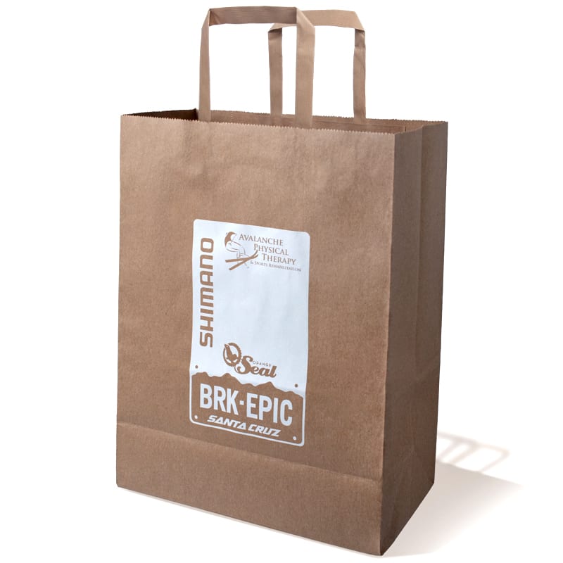 10 X 13 Inch Custom Paper Shopping Bag With Handles 18