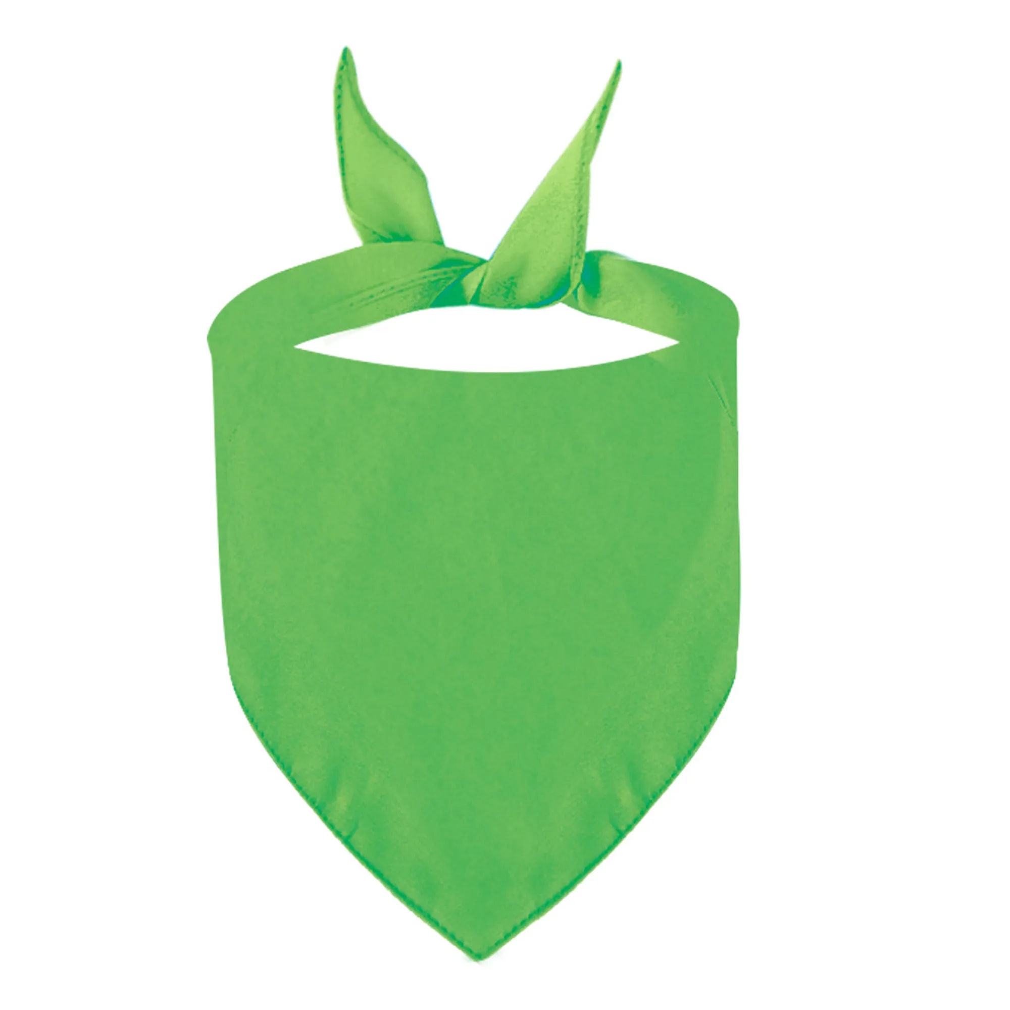 MOQ 20 Polyester Pet Triangle Scarf 6