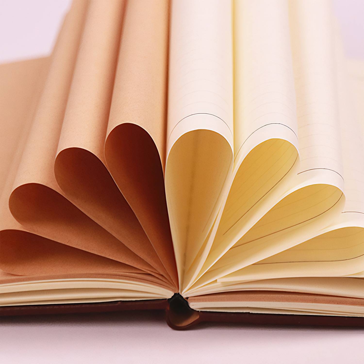 Eco-Friendly Cork Wood Grain Business Notebook 6