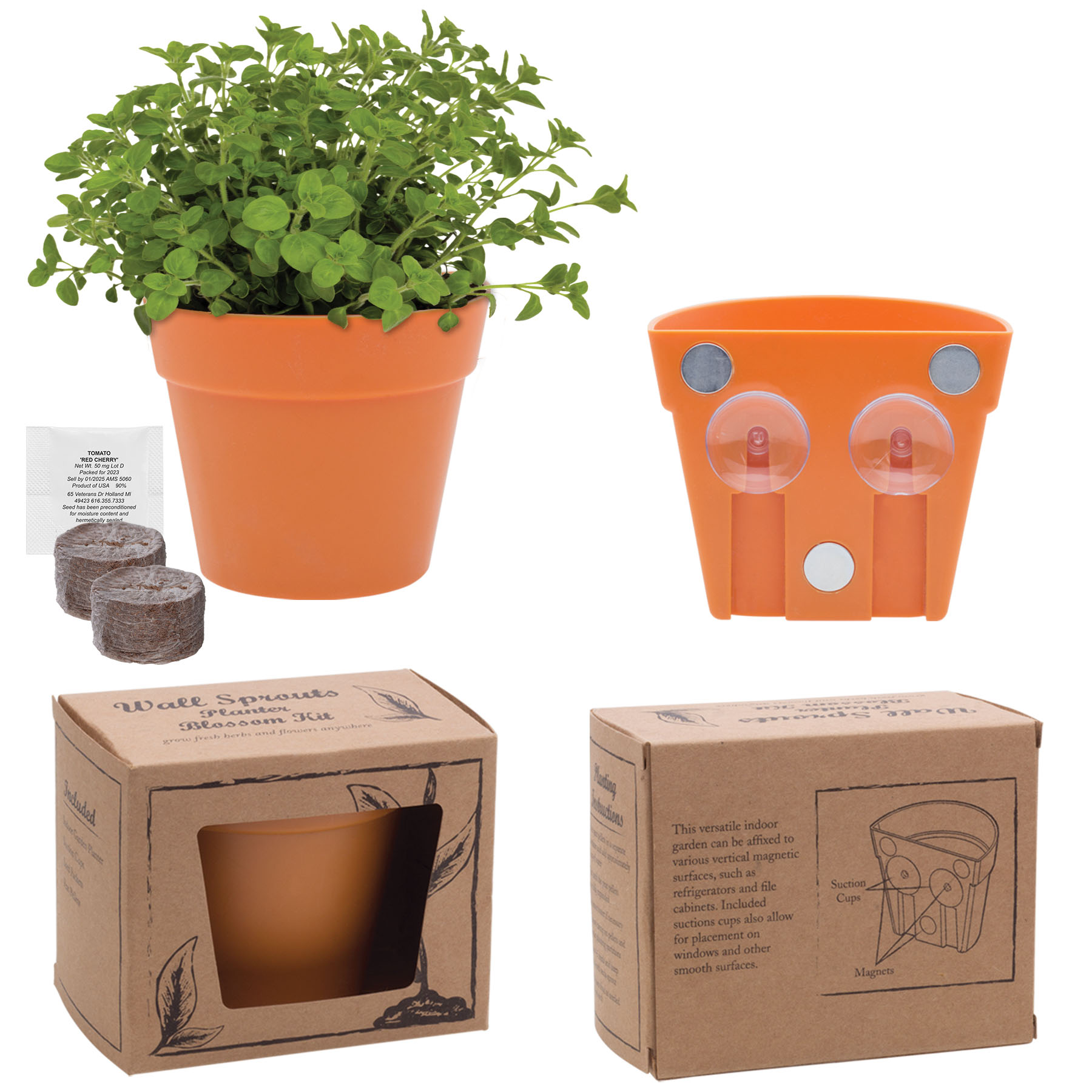 Wall Sprouts Planter Blossom Kit 22