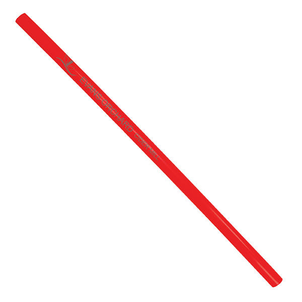 Reusable Standard Straw 4