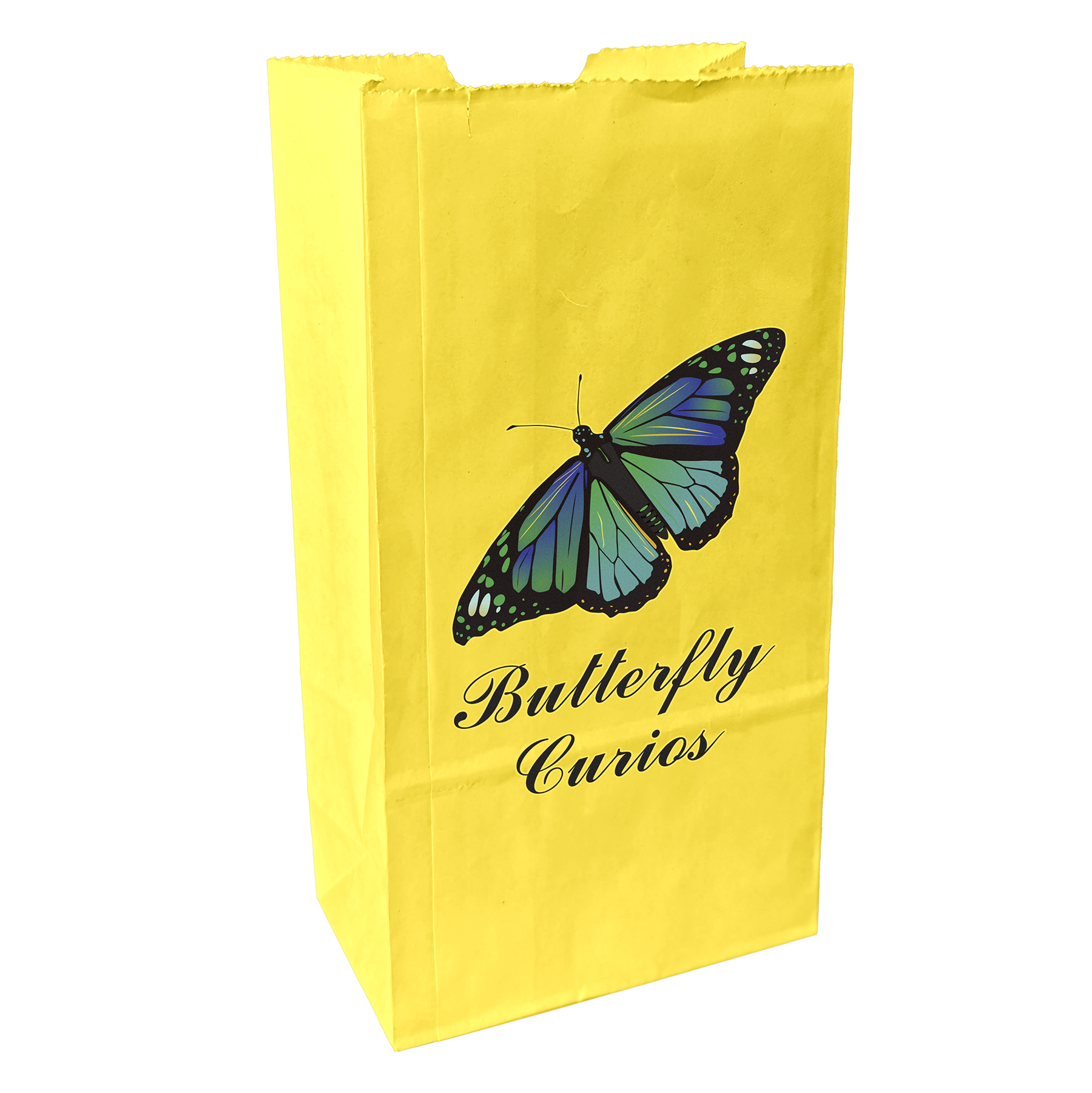 2# Popcorn Bag - ColorVista 12