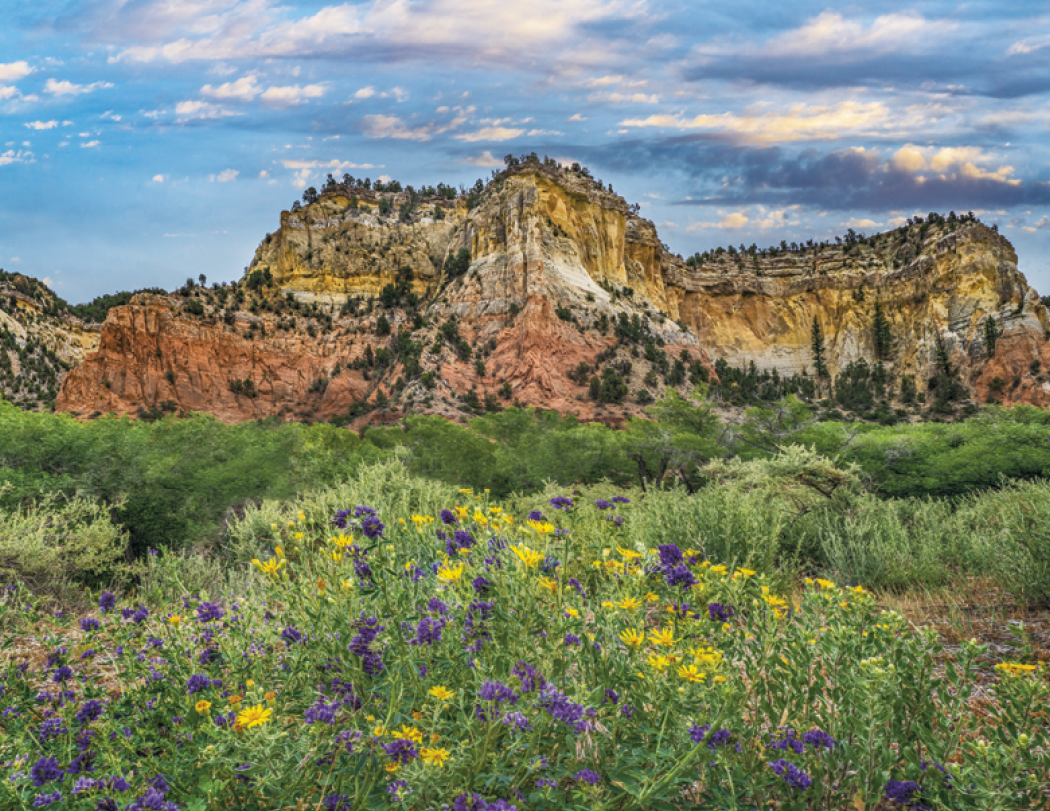 Good Value™ Rocky Mountains - Spiral Calendar 45