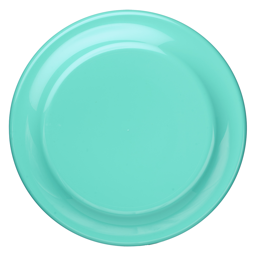 9.25 in. Solid Color Flying Discs 76