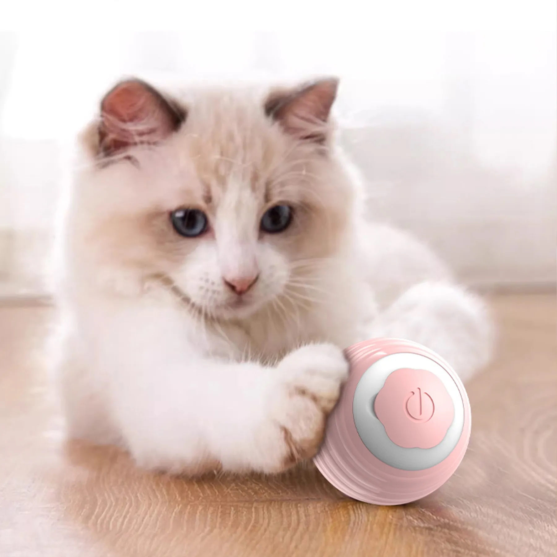 Silicone Automatic Cat Teasing Ball 5