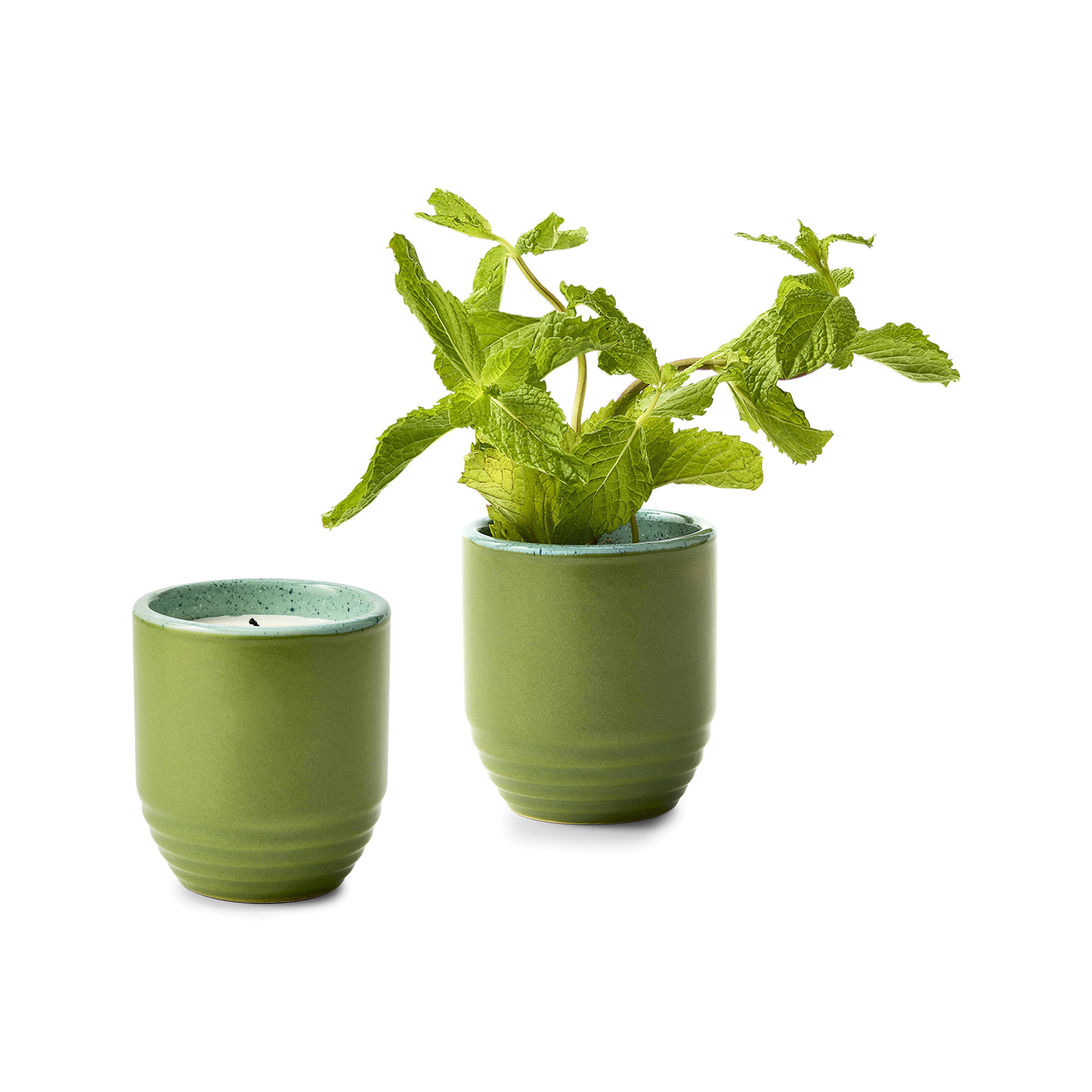 Modern Sprout® Garden Vibes Candle/Planter 63