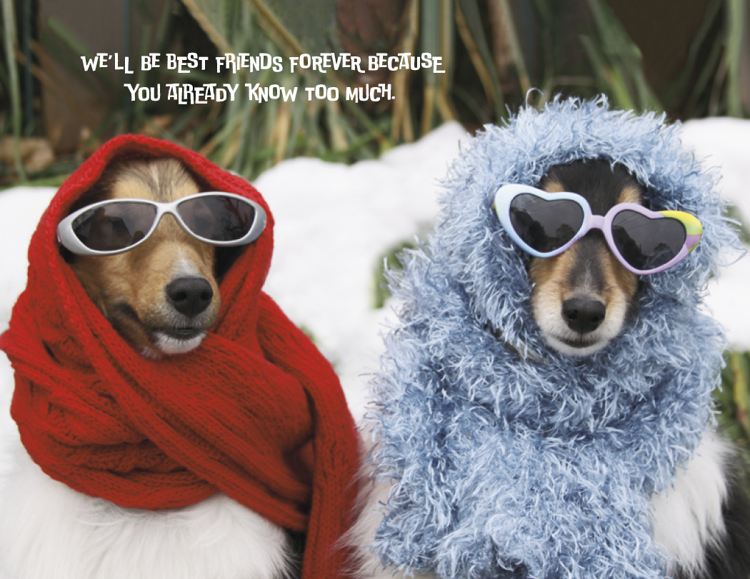 Good Value™ Pets with Attitude - Spiral Calendar 9