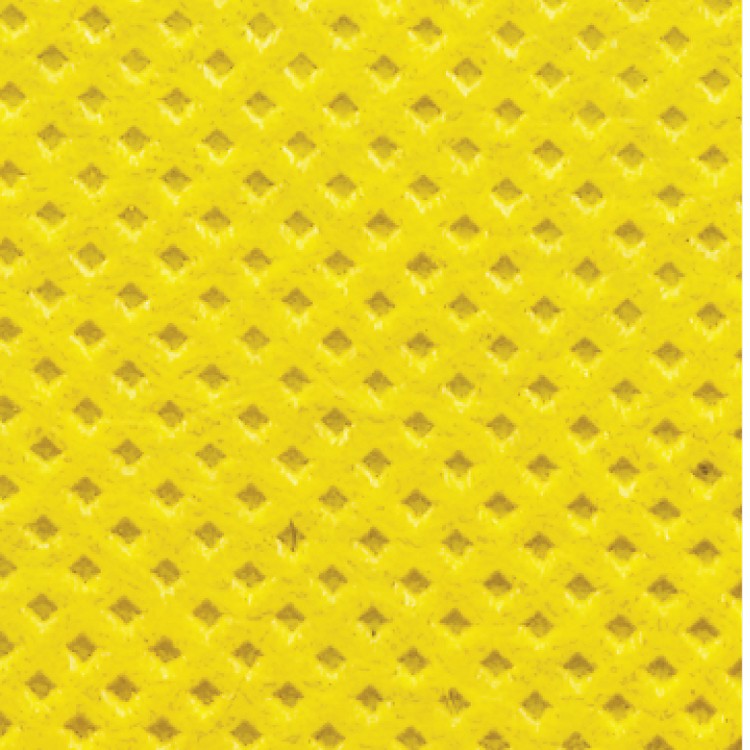 Non-woven Tote 13