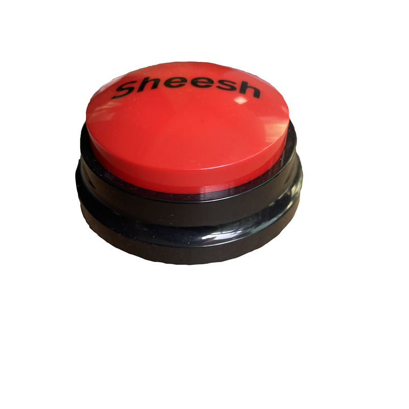 Round Sound Button For Gift 2