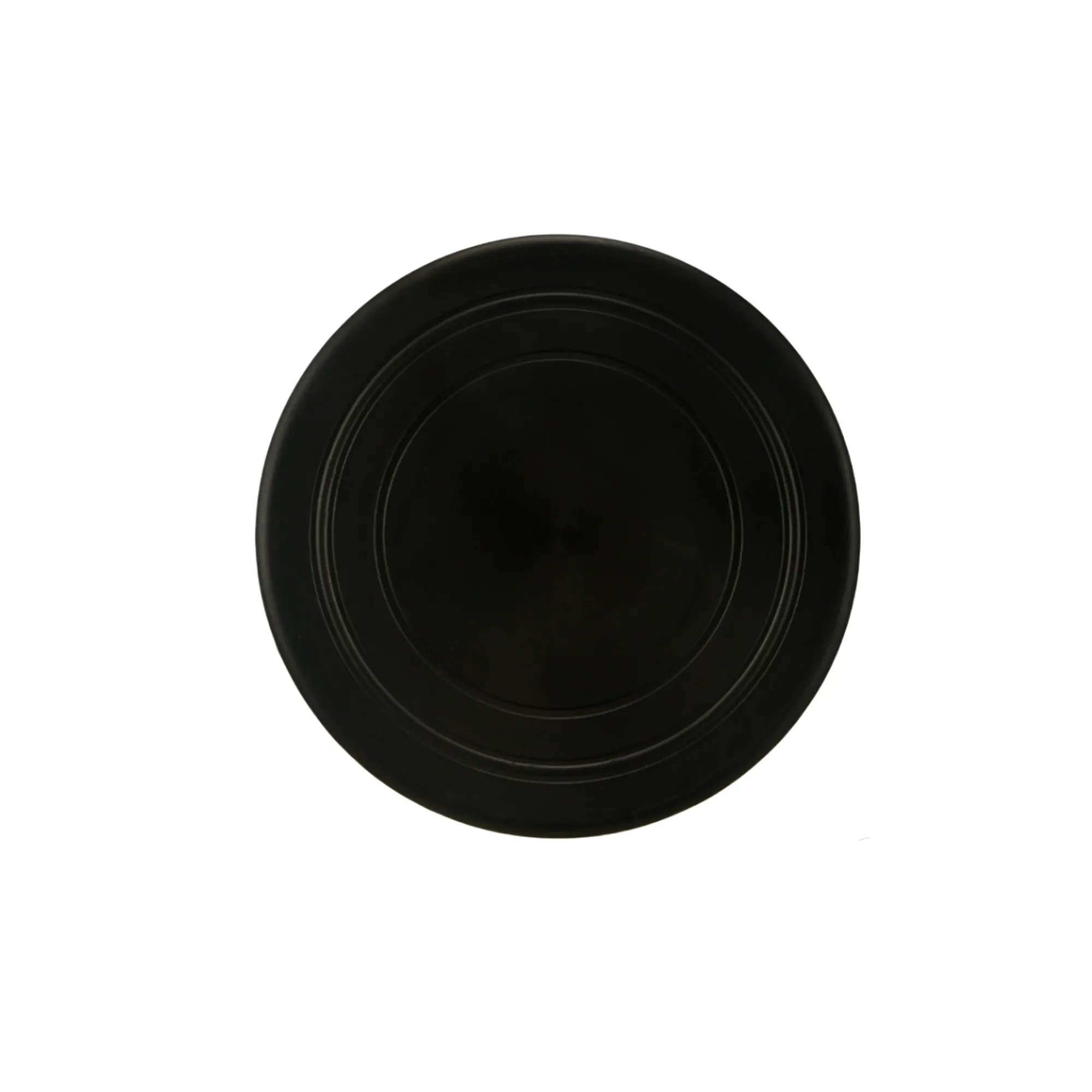 Pet Safety Flying Disc 2