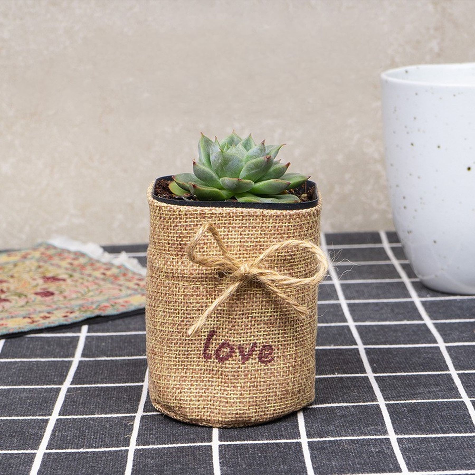 Seedling Plant Grow Bag Succulent Pot Burlap Nursery Pouches 1